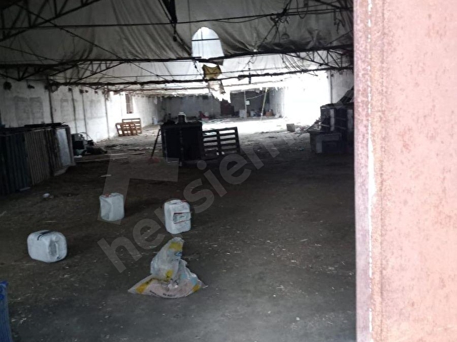 YILMAZ MAHALLESİNDE SATILIK ÇİFTLİK VE EVİ - Görsel 11