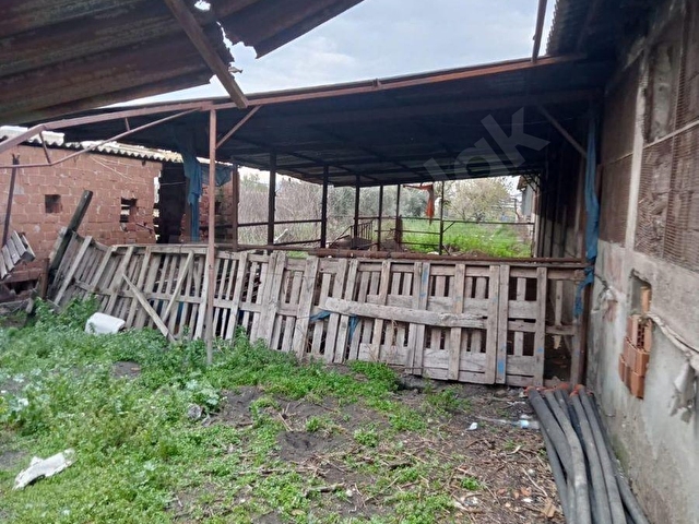 YILMAZ MAHALLESİNDE SATILIK ÇİFTLİK VE EVİ - Görsel 10