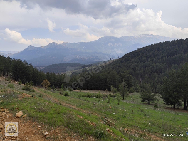 DAĞBAKAN EMLAKTAN POZANTI YAYLASINDA VİLLALIK ÖZEL PARSELLER - Görsel 22