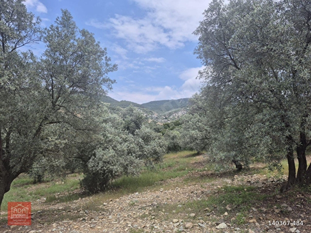 SELÇUK ÇAMLIKTA ÇİFTLİK YAPIMINA UYGUN MUHTEŞEM ARAZİ - Görsel 11