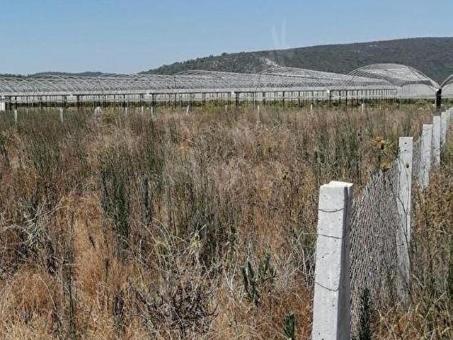 İZMİR MENDERES ATAKÖYDE FIRSAT TARLA - Görsel 9