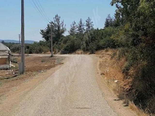 İZMİR MENDERES ATAKÖYDE FIRSAT TARLA - Görsel 3