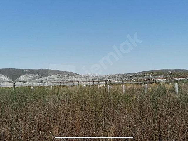 İZMİR MENDERES ATAKÖYDE FIRSAT TARLA - Görsel 8