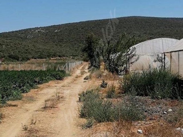 İZMİR MENDERES ATAKÖYDE FIRSAT TARLA - Görsel 5