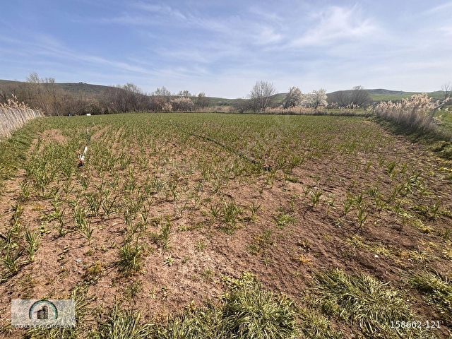 Naturadan *İmara Yakın Tek Tapu* Yatırım Fırsatı 4630 m2 - Görsel 6