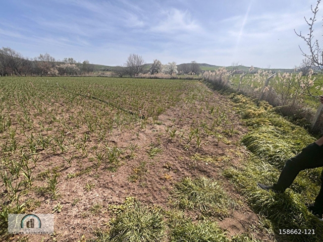 Naturadan *İmara Yakın Tek Tapu* Yatırım Fırsatı 4630 m2 - Görsel 8