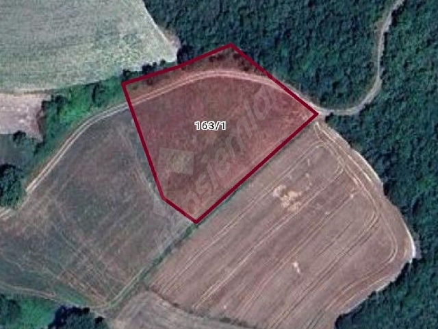 ÇATALCA ÇİFTLİKKÖYDE 760m2 YOLA CEPHELİ FIRSAT TARLA