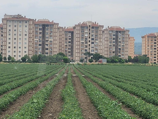 Torbalı Yazıbaşıda Satılık Tarla - Görsel 8