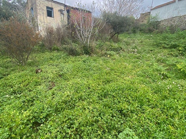 TİRE ÇAĞAN GAYRİMENKULDEN KÖY EVİ ARSASI - Görsel 12