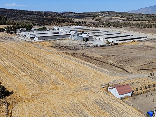 Foça Ilıpınarda Yatırımlık Tarla