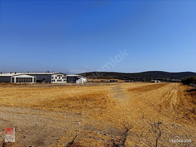 Foça Ilıpınarda Yatırımlık Tarla - Görsel 9