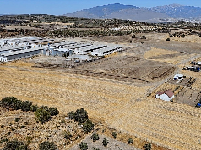 Foça Ilıpınarda Yatırımlık Tarla - Görsel 5