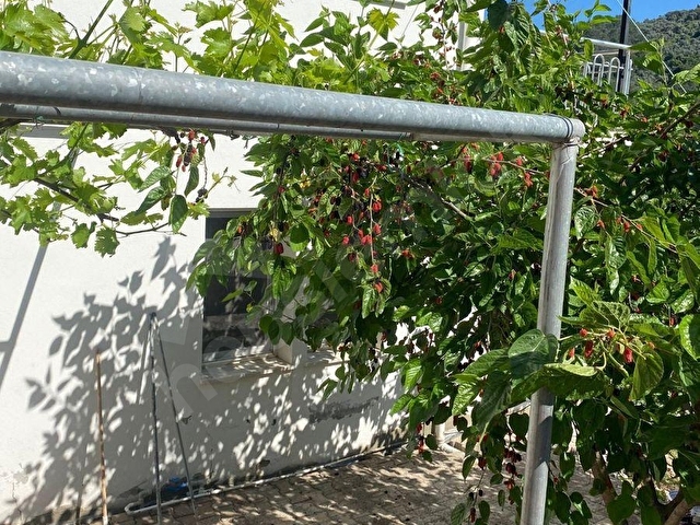 Ekincikte Deniz manzaralı 1+1 daire - Görsel 9