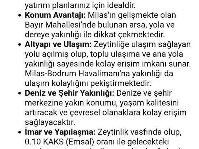 MUĞLA İLİ MİLAS İLÇESİ BAYIR MAH.DERE&YOLA CEPHE 3.226 M2 ZEYTİNLİK SATILIK - Görsel 8