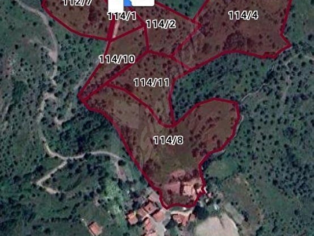 MUĞLA İLİ MİLAS İLÇESİ BAYIR MAH.DERE&YOLA CEPHE 3.226 M2 ZEYTİNLİK SATILIK - Görsel 6