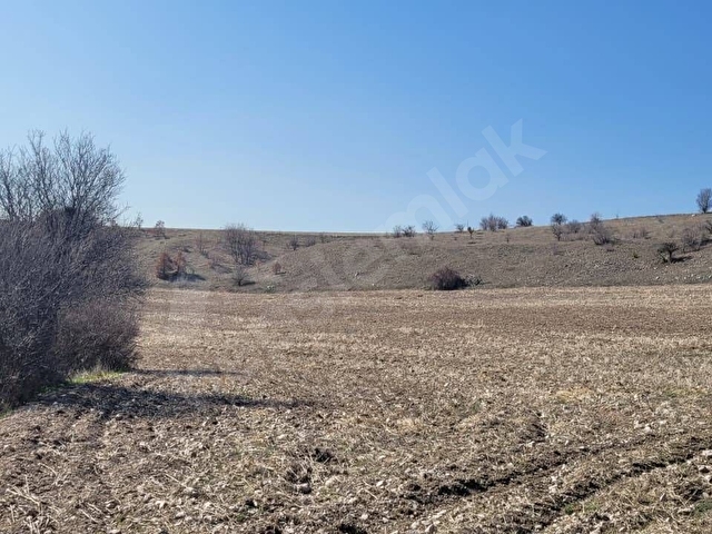 Bölgenin En Uygunu Kazan Akçaörende Yola Cepheli, Su Yanında 5.000 m² Tek Tapu Fiyat Performans Yer - Görsel 5