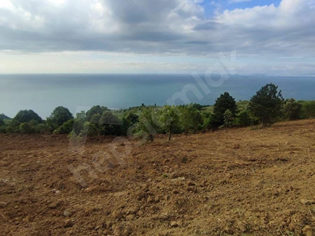 Yalova Şenköyde 236+256 m2 Villa İmarlı Arsalar - Görsel 9