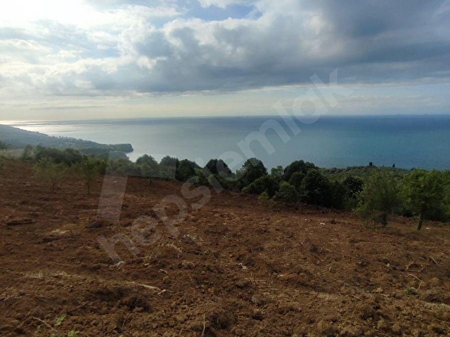 Yalova Şenköyde 236+256 m2 Villa İmarlı Arsalar - Görsel 12