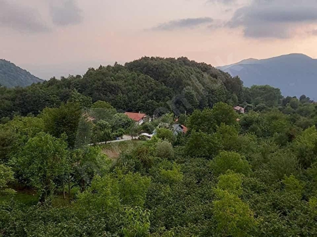 Geyve Fındıksuyu 7283 m2 imarlı arsa ve 6+2 484 m2 müstakil ev - Görsel 13