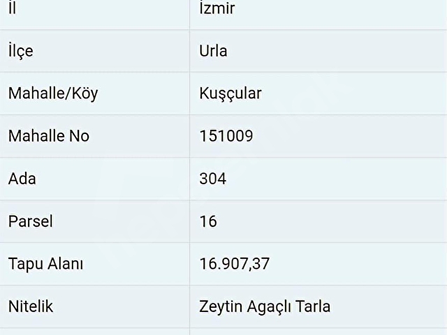 Urla Kuşçularda Satılık 16.907,37 m2 Arazi - Görsel 12