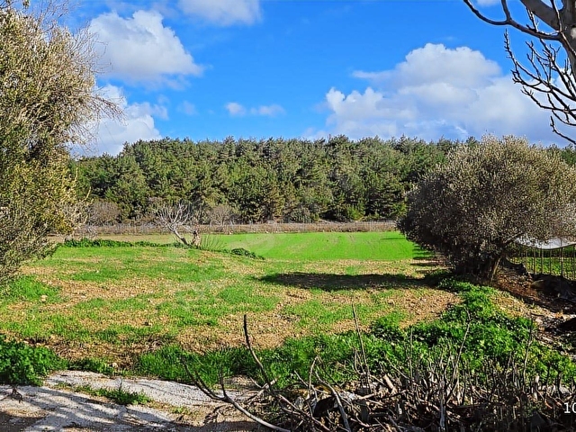 Urla Kuşçularda Satılık 16.907,37 m2 Arazi - Görsel 9