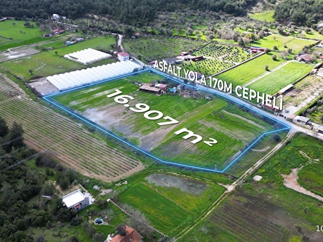 Urla Kuşçularda Satılık 16.907,37 m2 Arazi - Görsel 4