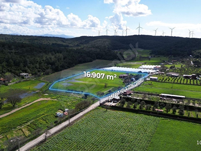 Urla Kuşçularda Satılık 16.907,37 m2 Arazi - Görsel 5