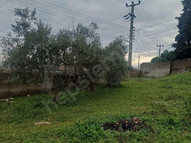 Manyas Kızık’ta Doğayla İç İçe 1100 m² Arazi Üzerinde İki Katlı Ev - Görsel 9
