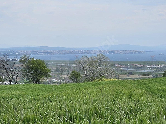 SÜTLÜCE KÖY MERKEZİNE 250 METRE MESAFEDE 1,5 DÖNÜM HİSSE - Görsel 19