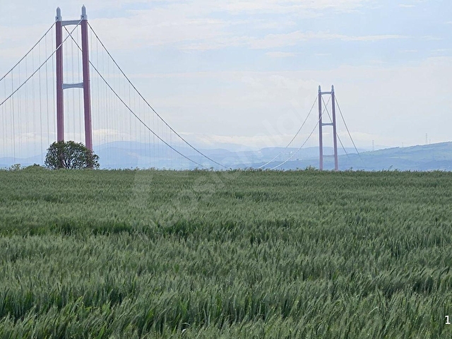 SÜTLÜCE KÖY MERKEZİNE 250 METRE MESAFEDE 1,5 DÖNÜM HİSSE