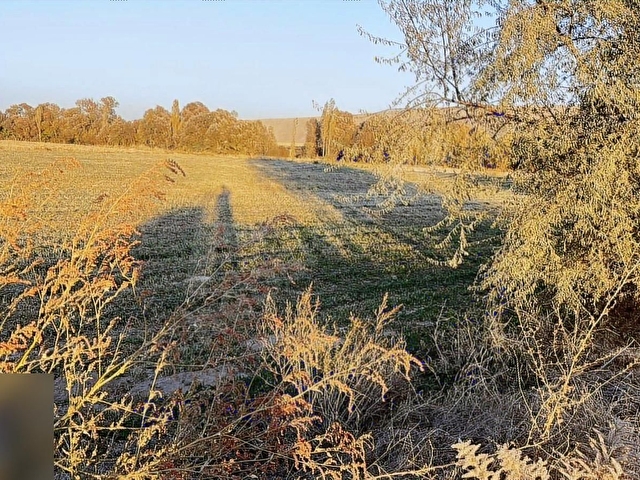 DOĞACİTY DEN SATILIK SEYİTGAZİ İKİÇEŞME 1768 M2 HOBİ BAHÇELIK - Görsel 3