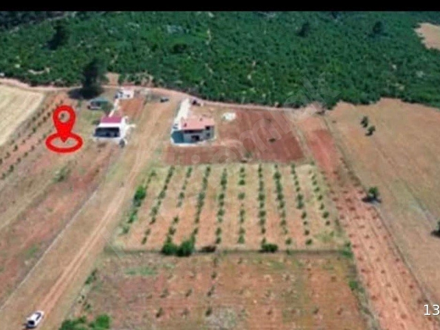 ACİL SATILIK DÖŞEMEALTI AKKOÇTA SATILIK 3346M2 TARLA - Görsel 5