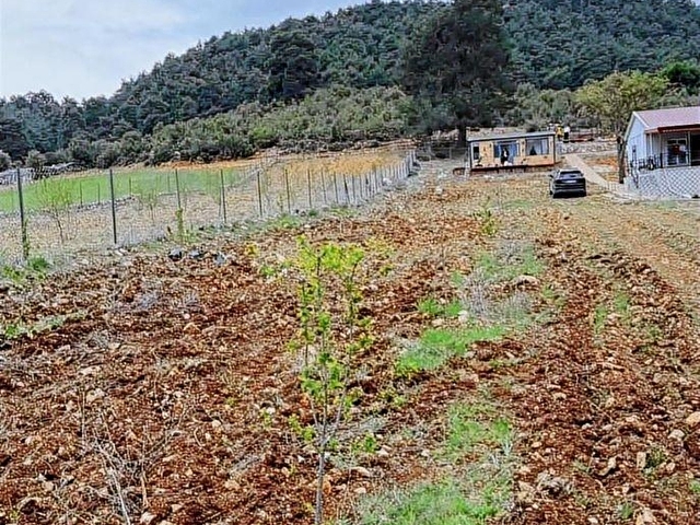 ACİL SATILIK DÖŞEMEALTI AKKOÇTA SATILIK 3346M2 TARLA - Görsel 12