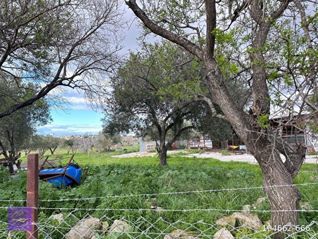 Çankaya Ön Cebeci Kiralık