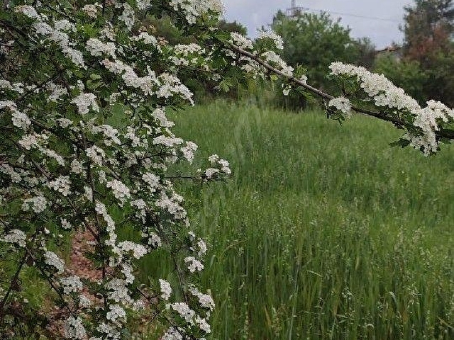 YERKESİK’TE YATIRIMIN TAM KALBİNDE FIRSAT PARSEL - Görsel 6