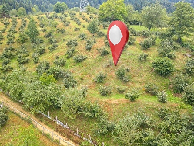 🏡 ARTVİN MURGUL KORUCULAR KÖYÜNDE %40 İMARLI MÜSTAKİL TAPULU ARSA— 610,32 m² - Görsel 9