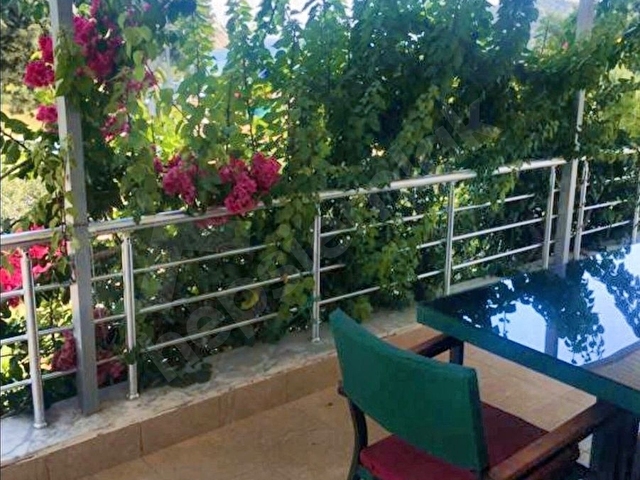TİSAN ADASI - Görsel 3