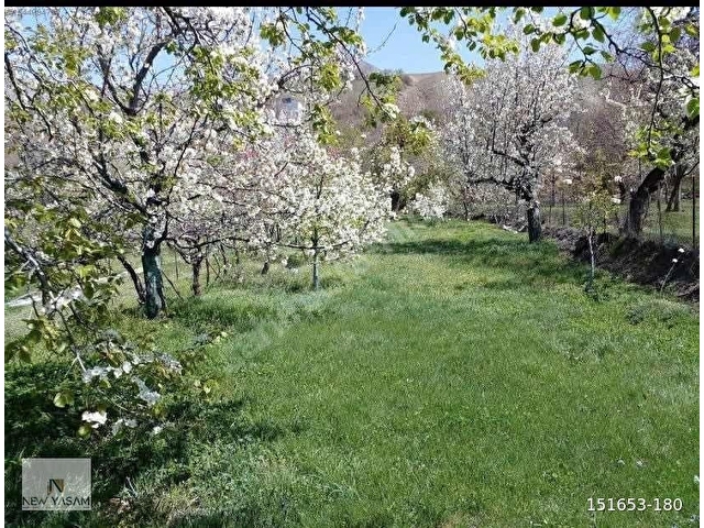 NEW YAŞAM EMLAKTAN BAYIRBAĞ KÖYÜNDE SATILIK BAĞ EVİ VE BAHÇESİ - Görsel 4