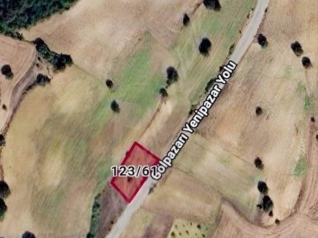 BİLECİK YENİPAZAR TOHUMLAR KÖYÜ 45 METRE YOLACEPHE 1.418 M2 ARSA - Görsel 3