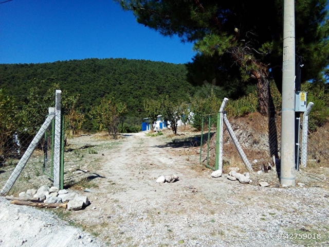 Gökçeler Yayla 6 dönüm müstakil bahçe+Ruhsatlı kulübeler+İmarlı Ev Projesi+Elektrik+Kuyu - Görsel 3