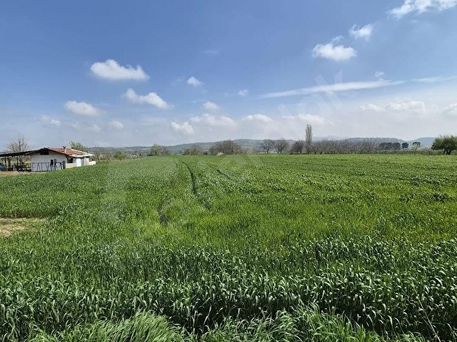 MKP TURKUAZDAN YALINTAŞTA ASFALT YOLA CEPHE 8672m2 SATILIK - Görsel 7