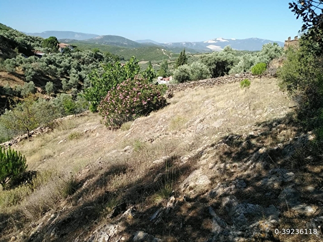 YATAĞAN IN KAPLANCIK Köyünde orman kenarı 457m2 arazi - Görsel 3