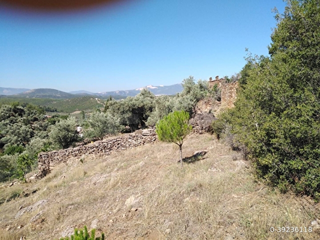 YATAĞAN IN KAPLANCIK Köyünde orman kenarı 457m2 arazi