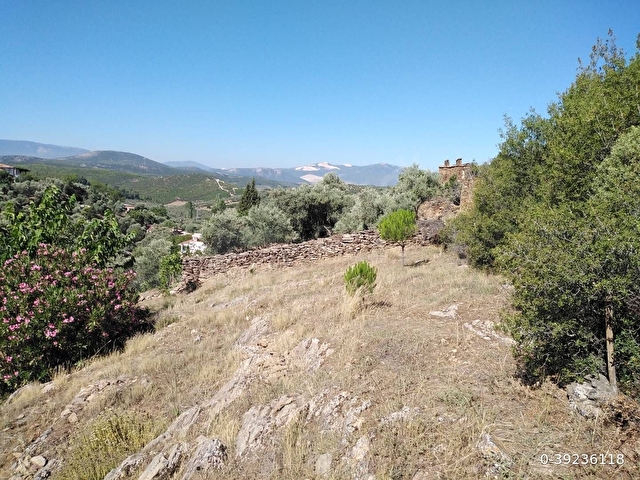 YATAĞAN IN KAPLANCIK Köyünde orman kenarı 457m2 arazi - Görsel 4