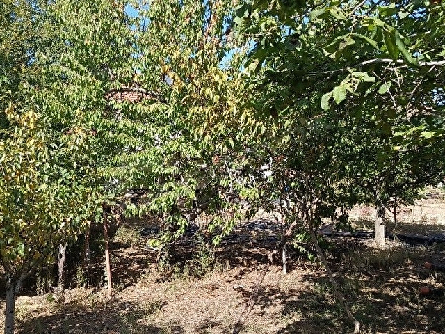 7500 m2 satılık konut imarlı arsa, şehir merkezi cadde üzeri - Görsel 30