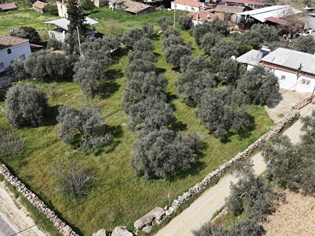 NAZİLLİ BEYERLİDE HOBİ BAHÇESİ 2948M2 - Görsel 18