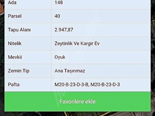 NAZİLLİ BEYERLİDE HOBİ BAHÇESİ 2948M2 - Görsel 4