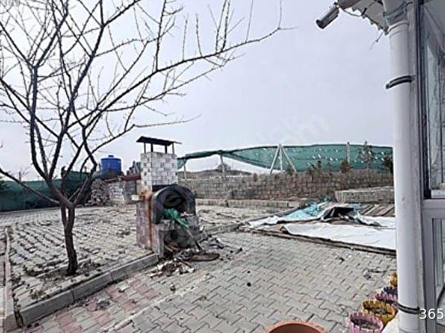 EBRARDAN PUSRAKLAR YEŞİLOVADA 835 M2 HAZIR KURULU TAPULU BAHÇE - Görsel 15