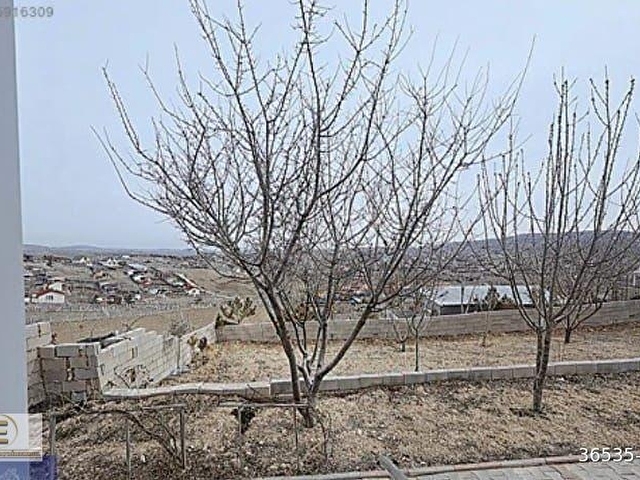 EBRARDAN PUSRAKLAR YEŞİLOVADA 835 M2 HAZIR KURULU TAPULU BAHÇE - Görsel 12