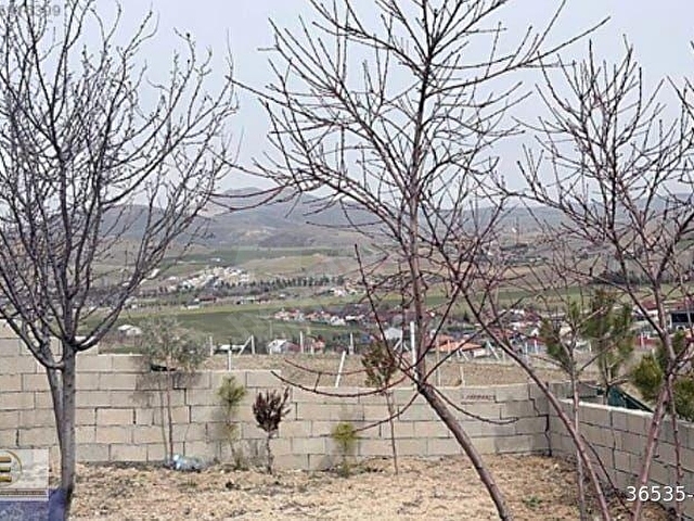 EBRARDAN PUSRAKLAR YEŞİLOVADA 835 M2 HAZIR KURULU TAPULU BAHÇE - Görsel 16